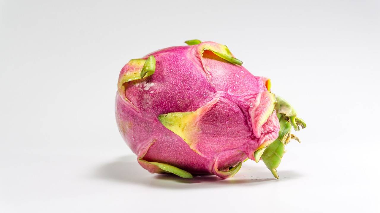 Exploring the Impact of Loneliness on Mental Health