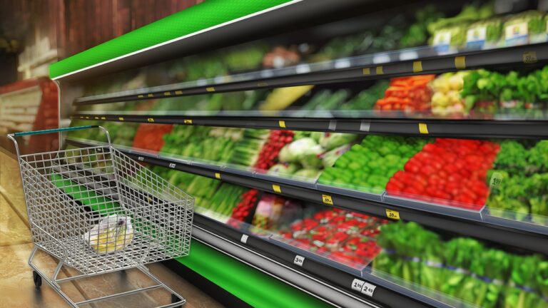 The Impact of Social Media Challenges on Shopping Habits: #NoBuy, #ShopMyCloset, and More