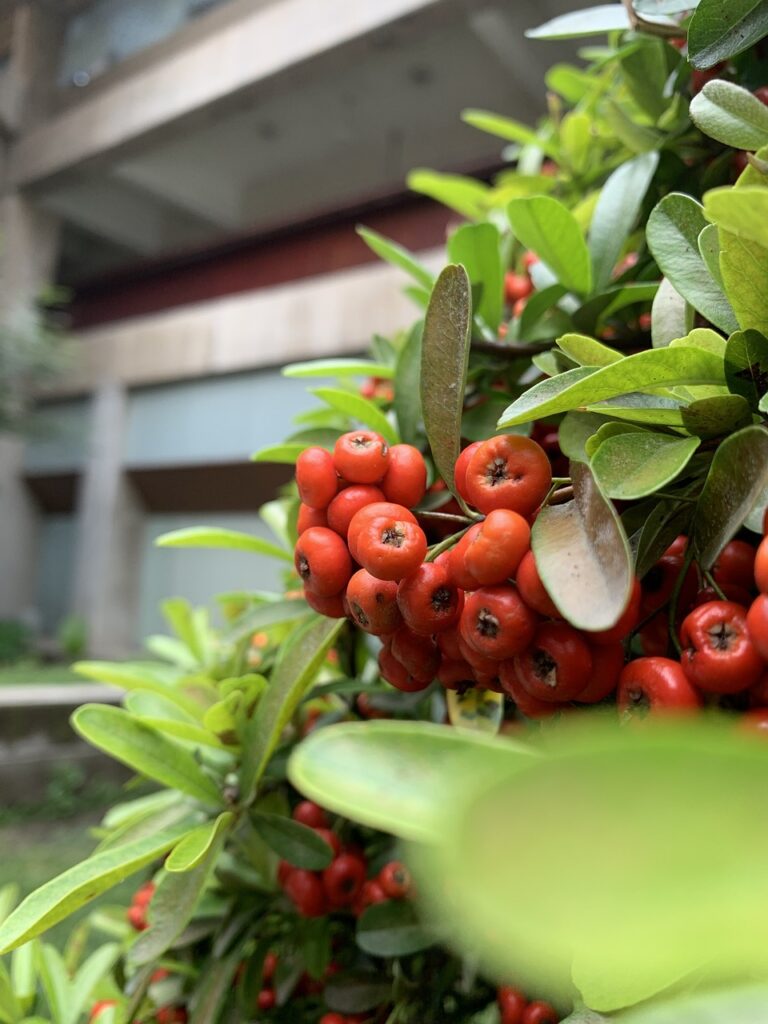 Exploring Culturally Responsive Engineering Education Practices