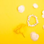 Reddybook Review: How This Innovative Platform Boosts Learning and Entertainment with 11xplay Integration